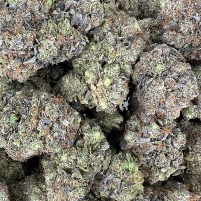 pprockstar platinum 2