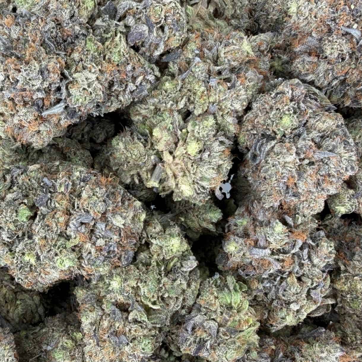 28gr - ROCKSTAR PLATINUM - INDICA - (AAA) - Image 3