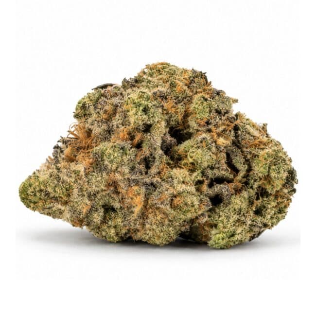 og kush cannabis flower bud on a white background