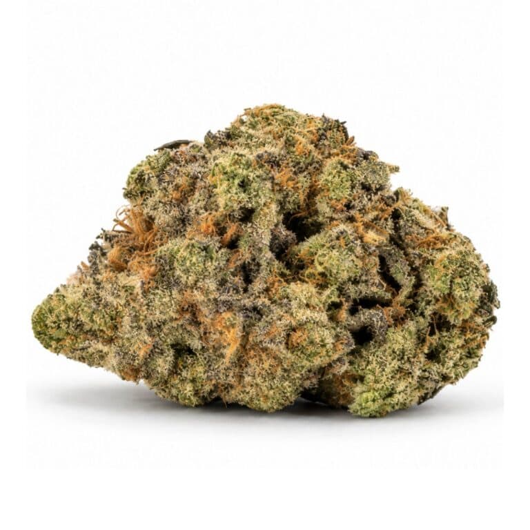 og kush cannabis flower bud on a white background