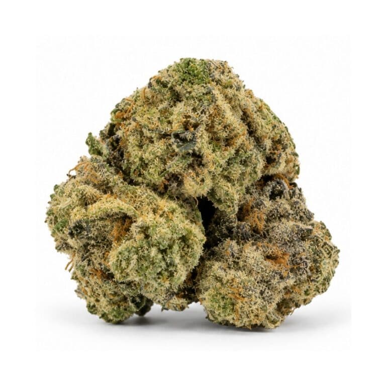 og kush small size cannabis flower buds on a white background
