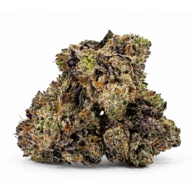 cannabis flower buds in a pile on a white background, showing small dense nugs with light green tones and frosty trichome coverage