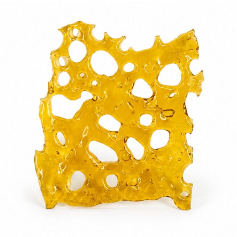 Close-up of a translucent golden cannabis concentrate slab with a porous, lace-like texture on a crisp white background.