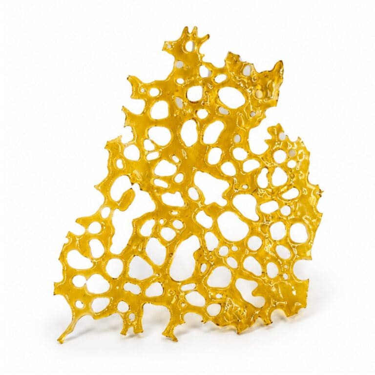 Close-up of a translucent golden cannabis concentrate slab with a porous, lace-like texture on a crisp white background.