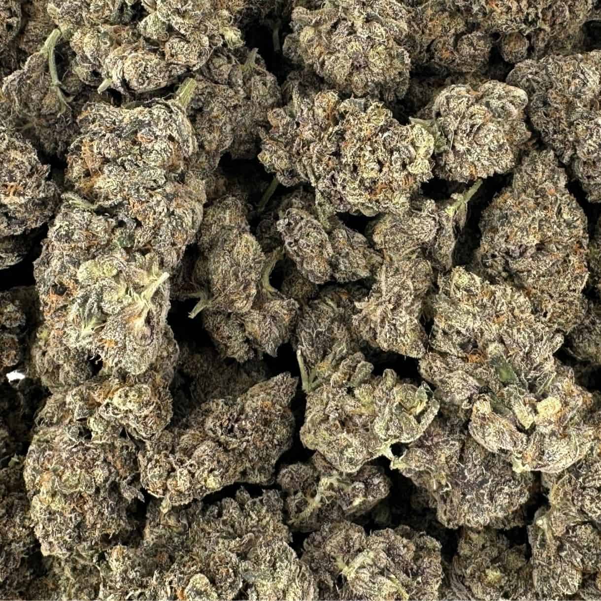 7gr - ZONUTZ - SATIVA - (AAAA) - Image 3