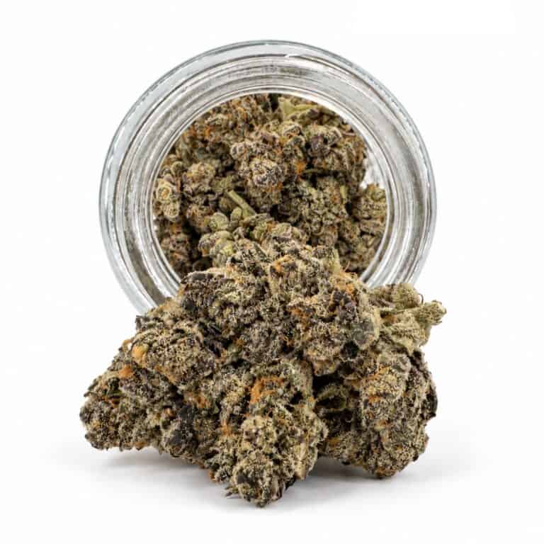 Dense cannabis flower with frosty trichomes in foreground, glass jar softly blurred on a crisp white background