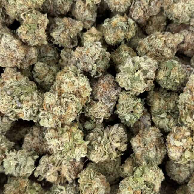 pp blueberry full