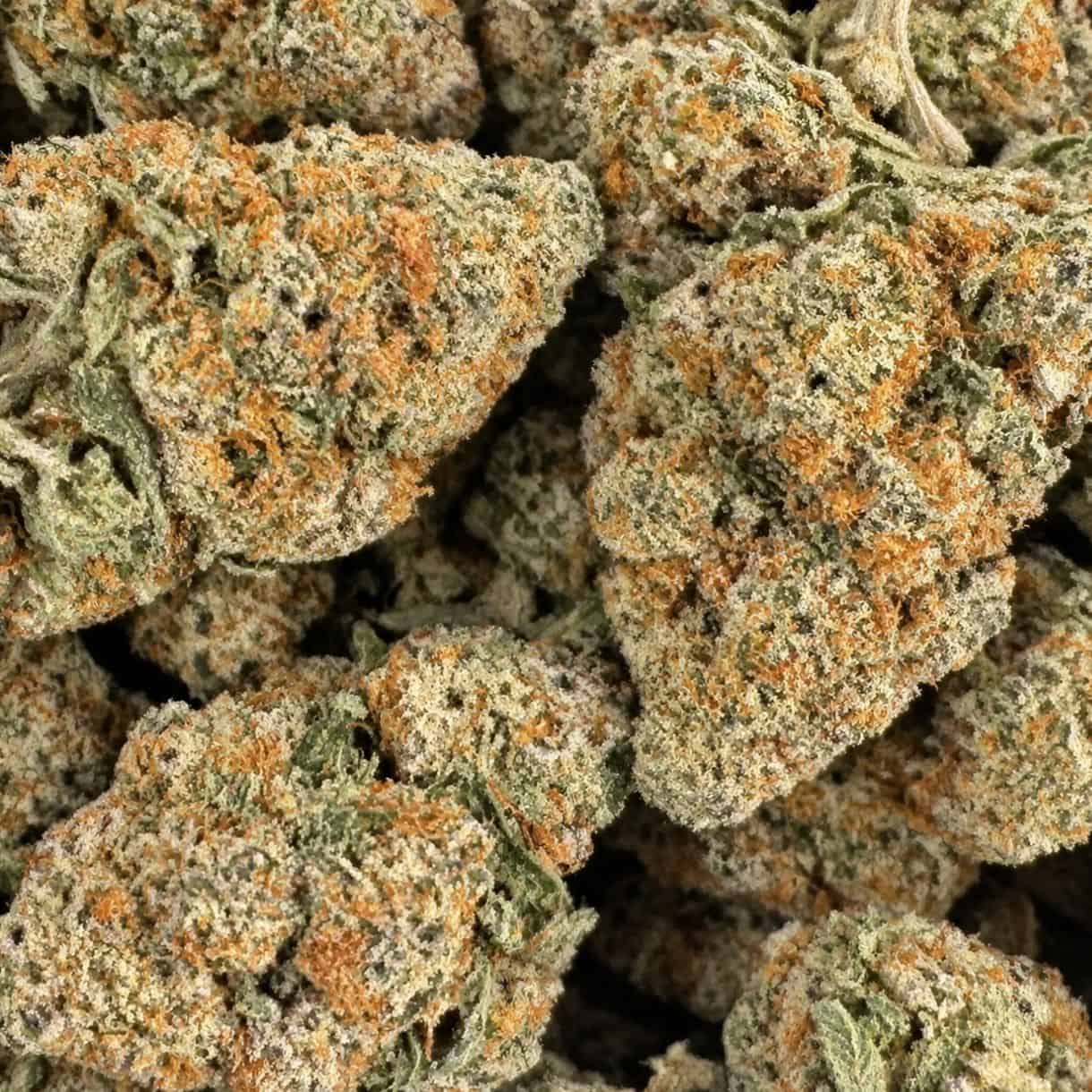 28gr - DO SI DOS - INDICA - (AAA) - Image 2