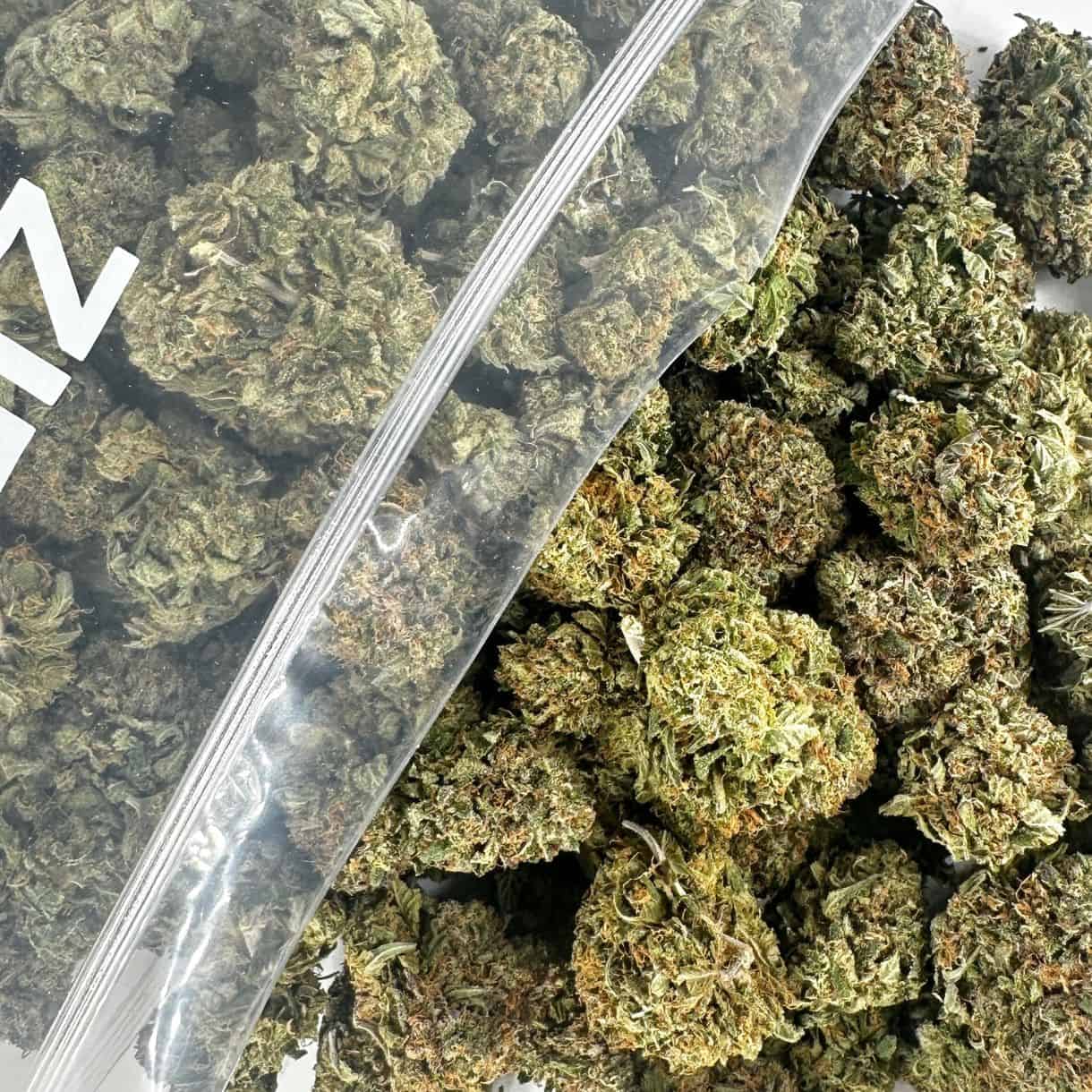 close-up image of cannabis buds spilling out of a clear ZIP-ZAG plastic bag onto a white surface, showing dense green nugs with visible trichomes and orange hairs.