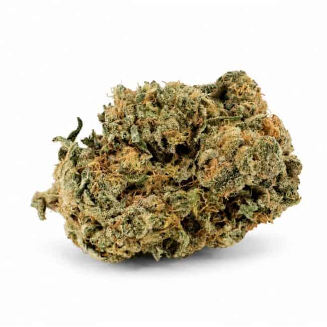 pp sour diesel main