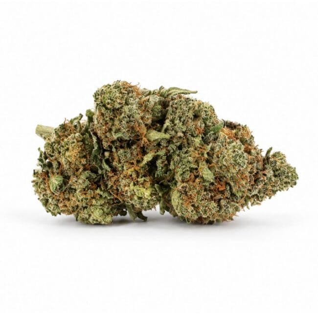 tuna can Image of cannabis bud with frosty trichomes on a crisp white background