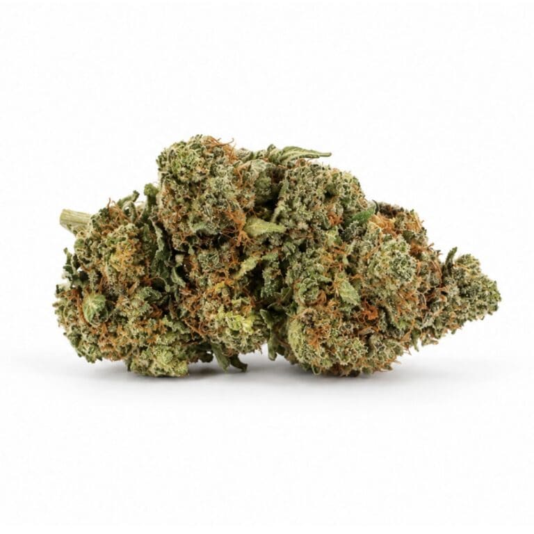 tuna can Image of cannabis bud with frosty trichomes on a crisp white background