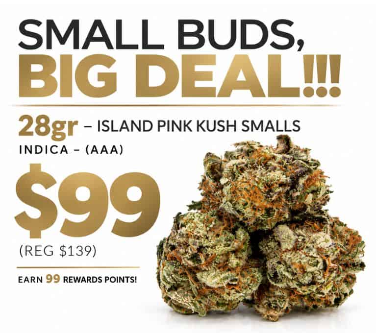Small Buds, Big Deal promotional graphic featuring 28g Island Pink Kush smalls for $99, with close-up cannabis buds.