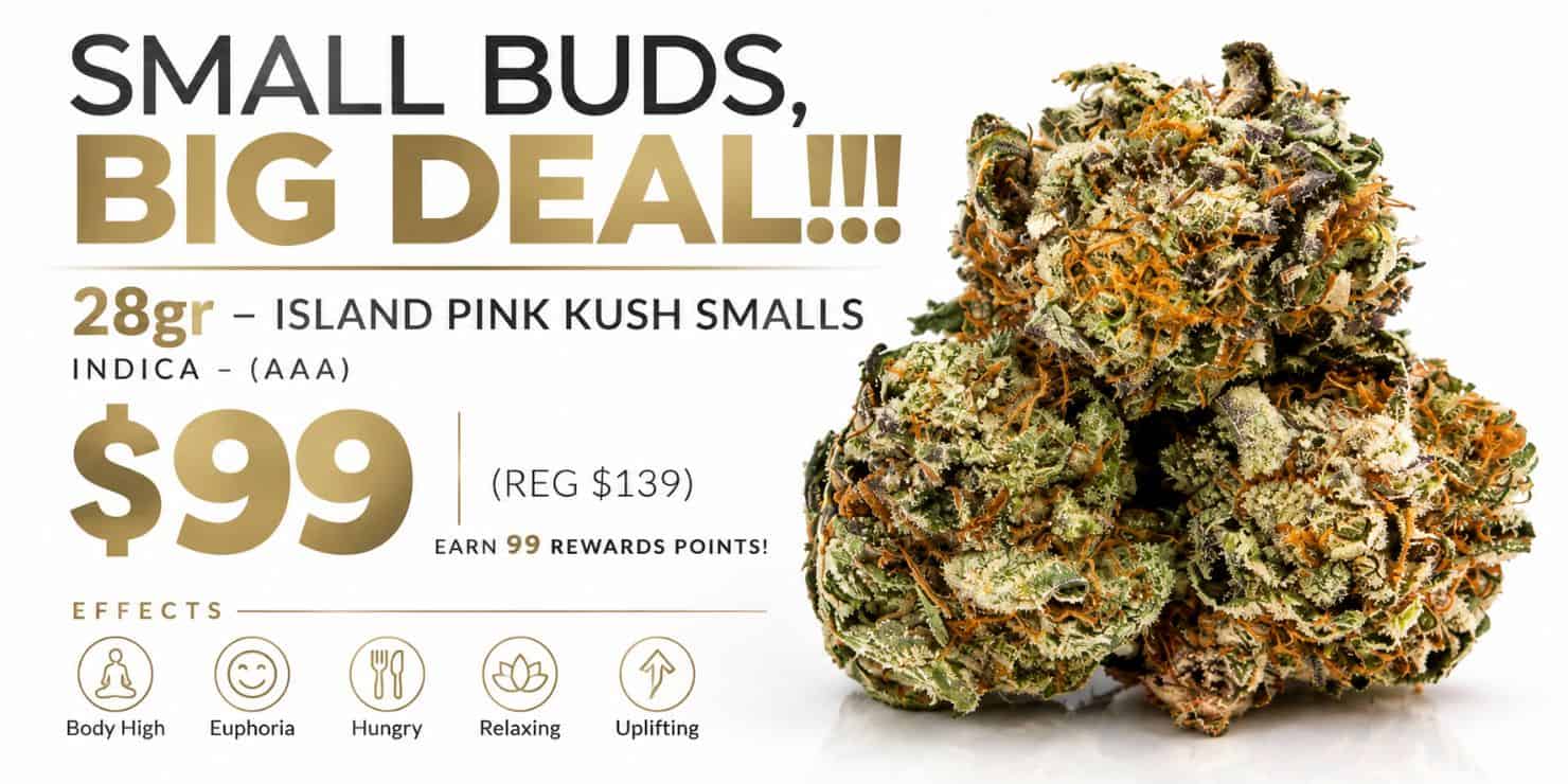 Small Buds, Big Deal promotional graphic featuring 28g Island Pink Kush smalls for $99, with close-up cannabis buds.