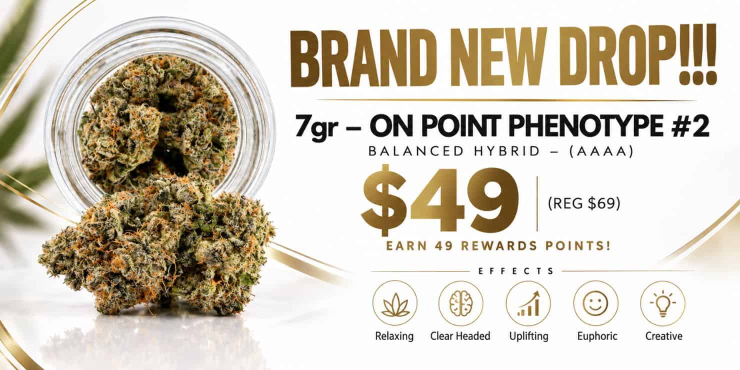 Brand New Drop 7g On Point Phenotype #2 balanced hybrid AAAA cannabis flower, priced at $49, featuring dense cannabis buds in a glass jar.