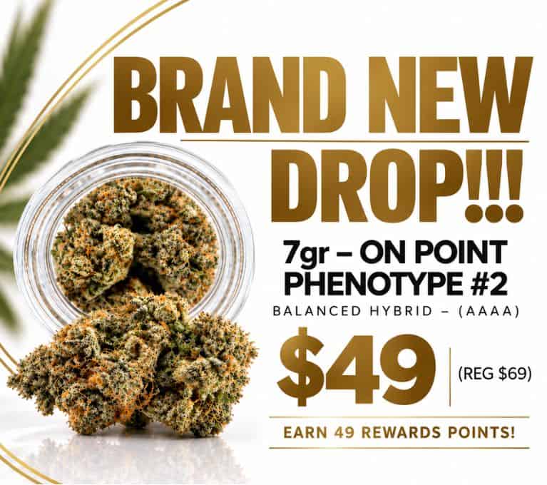 Brand New Drop 7g On Point Phenotype #2 balanced hybrid AAAA cannabis flower, priced at $49, featuring dense cannabis buds in a glass jar.