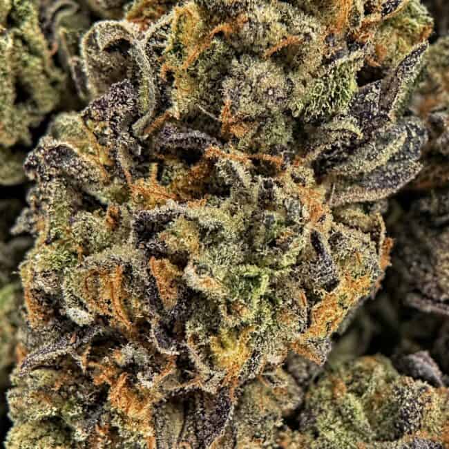 dantes-inferno-bud-macro