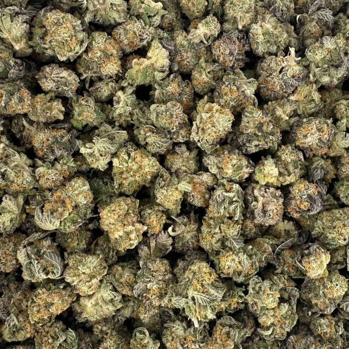 glitter bomb smalls cannabis flower buds