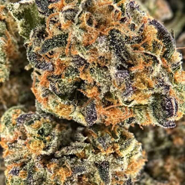 glitter-bomb-macro