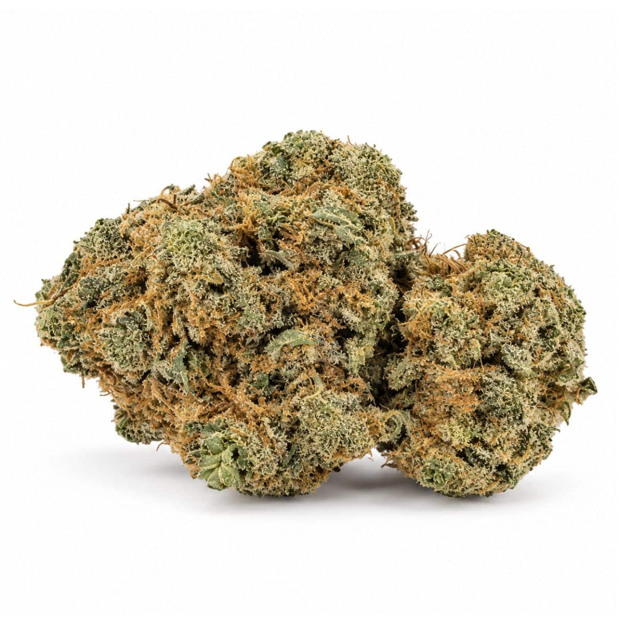 Lemon Cheese cannabis flower buds on a white background