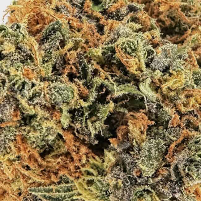 lemon-cheese-macro