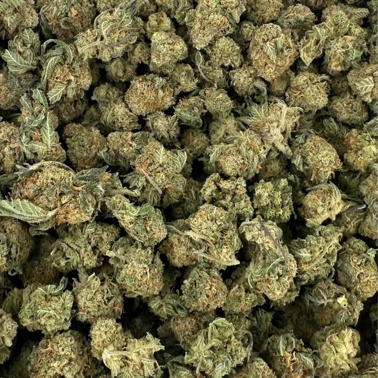 Lemon Cheese (smalls) cannabis flower buds