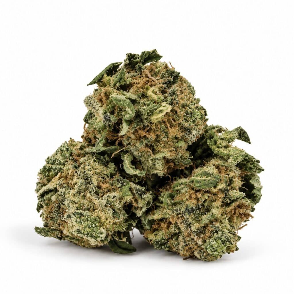Lemon Cheese (smalls) cannabis flower buds on a white background