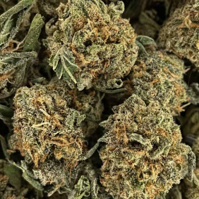 lemon-cheese-smalls-macro