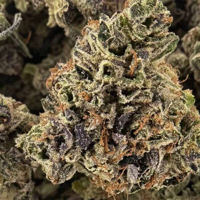 pp rockstar bubba smalls 2 (1)
