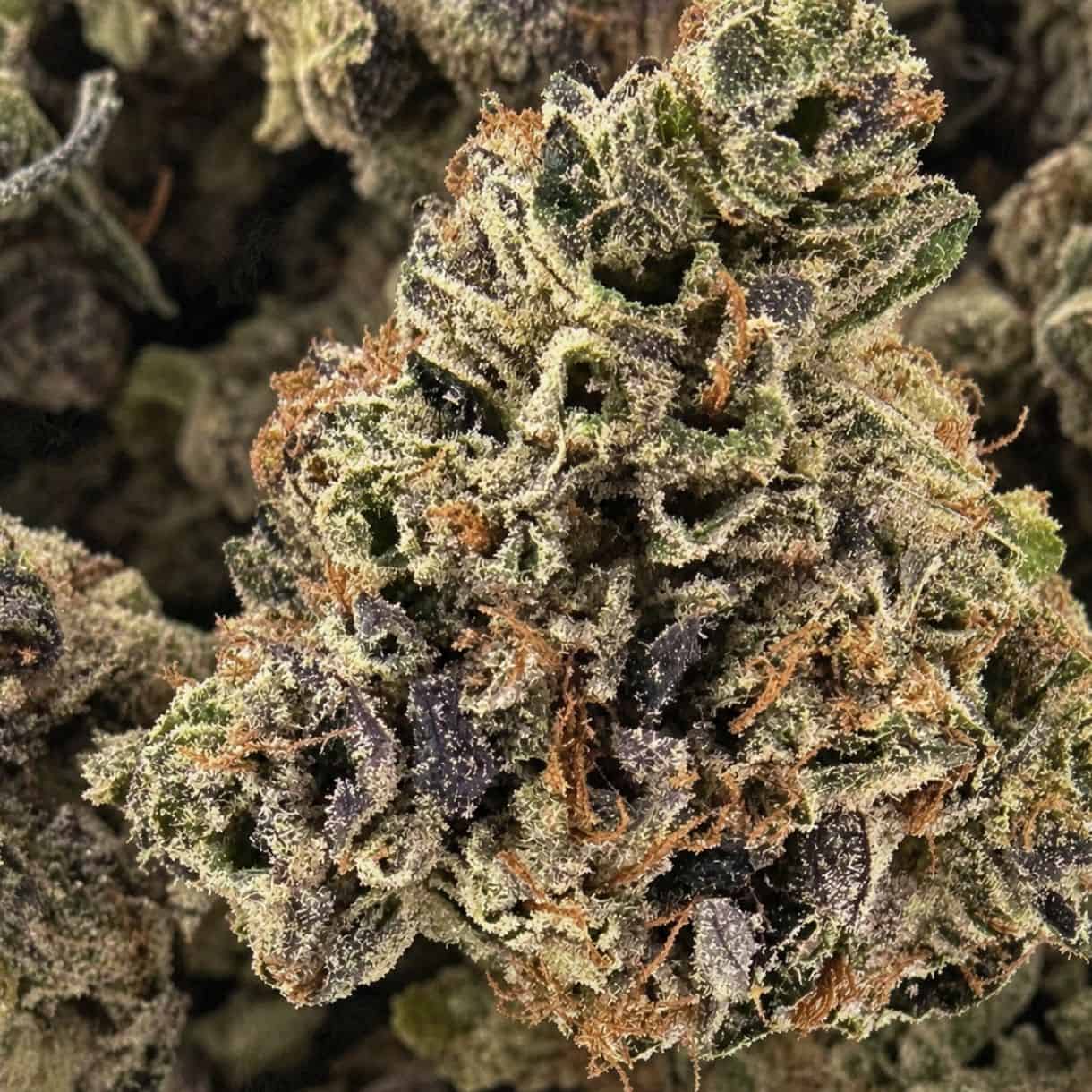 28gr - ROCKSTAR BUBBA SMALLS - INDICA - (AAA) - Image 2