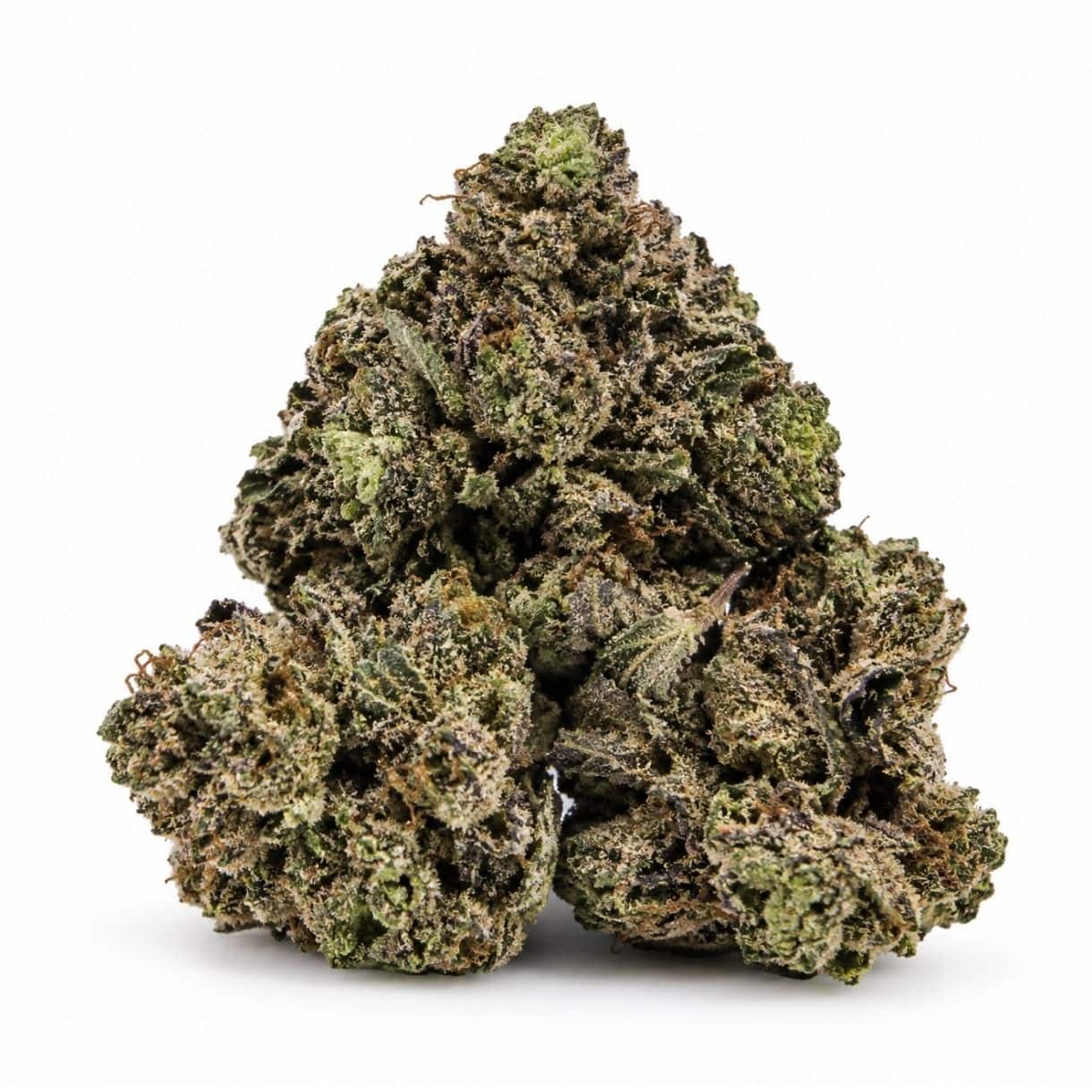 cannabis flower buds in a pile on a white background, showing small dense nugs with light green tones and frosty trichome coverage