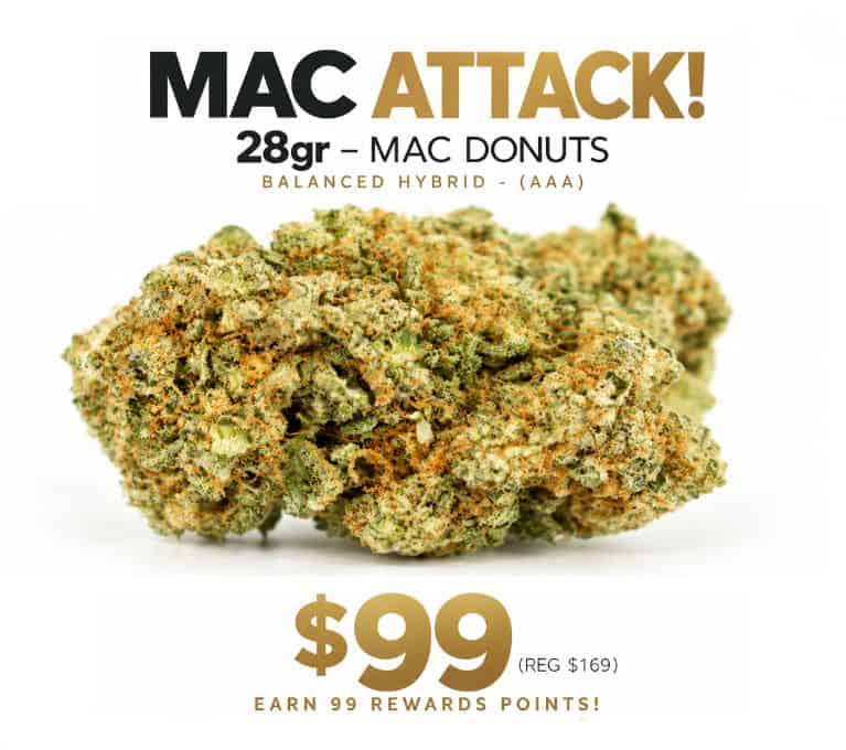 Promotional banner for 28g MAC Donuts balanced hybrid AAA, featuring cannabis flower, priced at $99, regularly $169, with 99 rewards points.